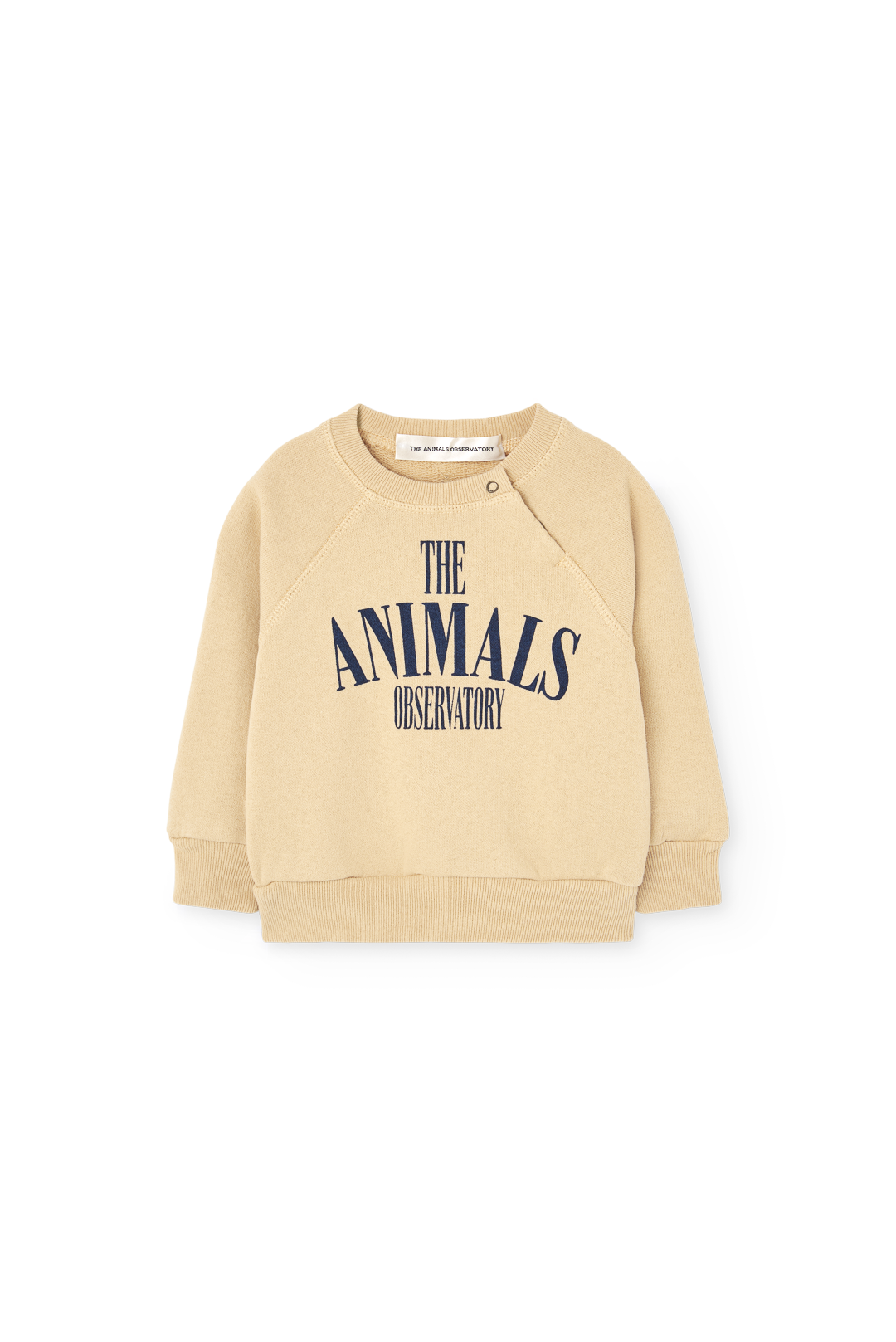 Soft Brown Jackal Sweatshirt for Baby COVER