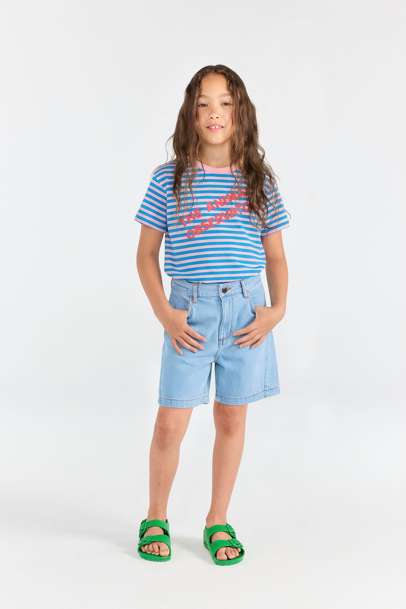 Striped Blue Rooster T-Shirt