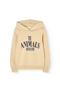 Soft Brown Anglefish Hoodie COVER