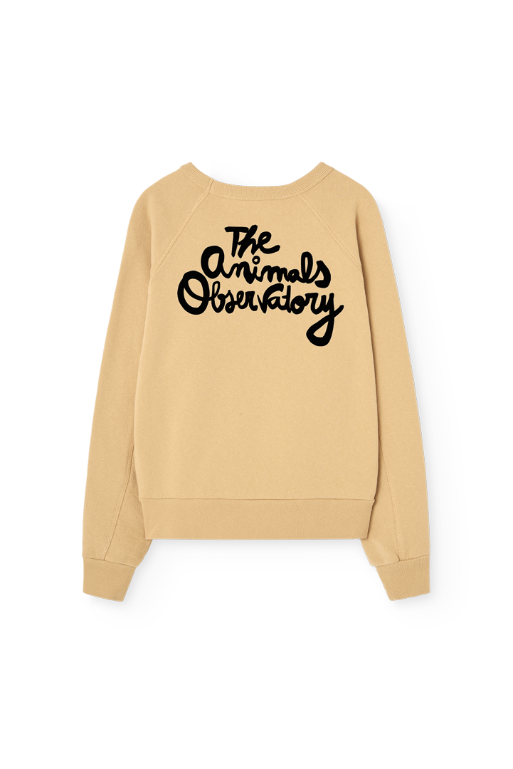 Soft Brown Shark Sweatshirt PRODUCT BACK