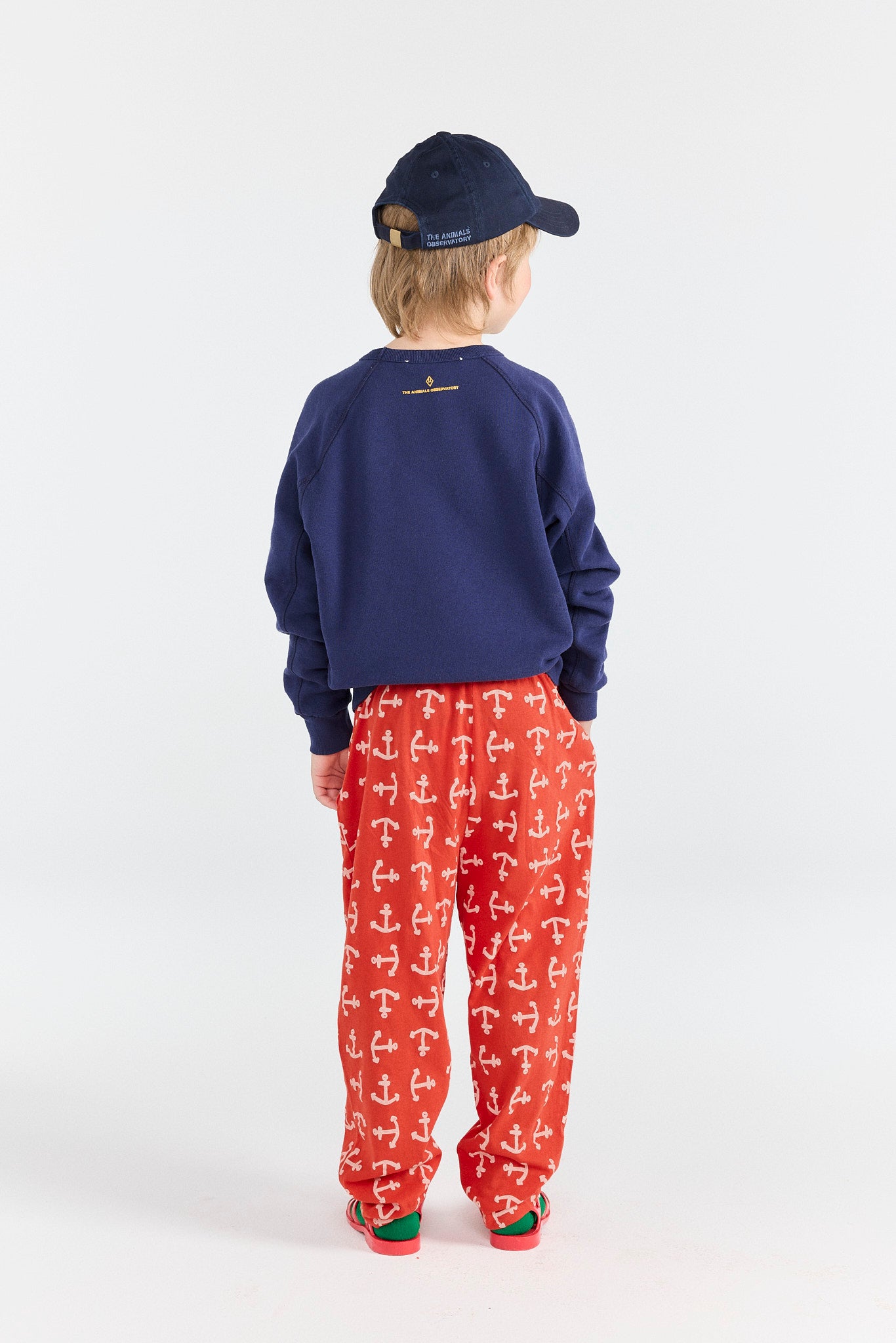 Deep Blue Shark Sweatshirt MODEL BACK