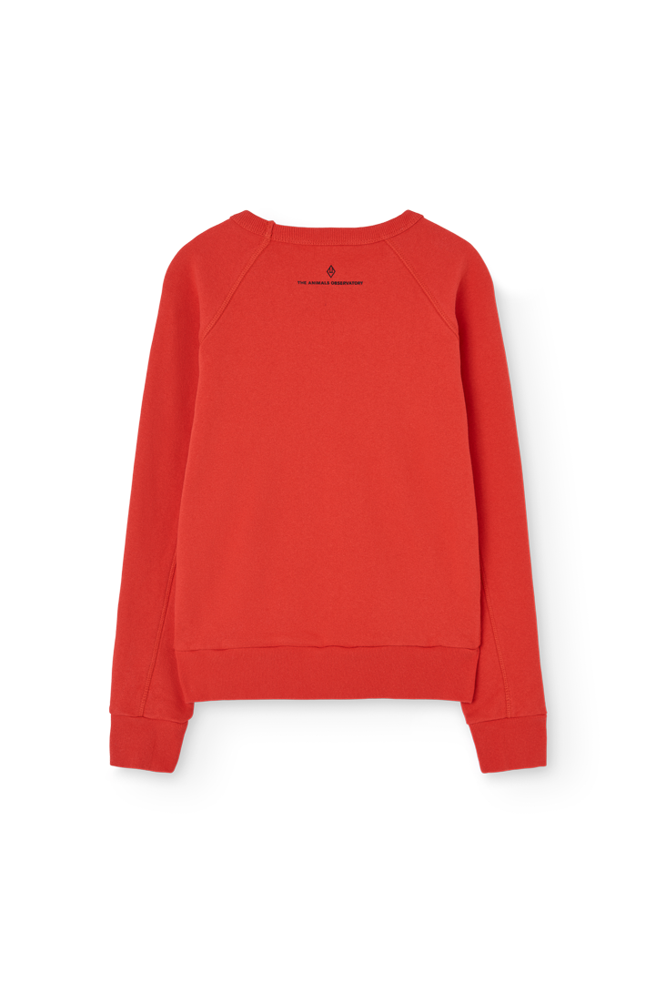 Red Shark Sweatshirt PRODUCT BACK