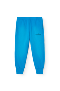 Pantalon de Survêtement Panther Bleu