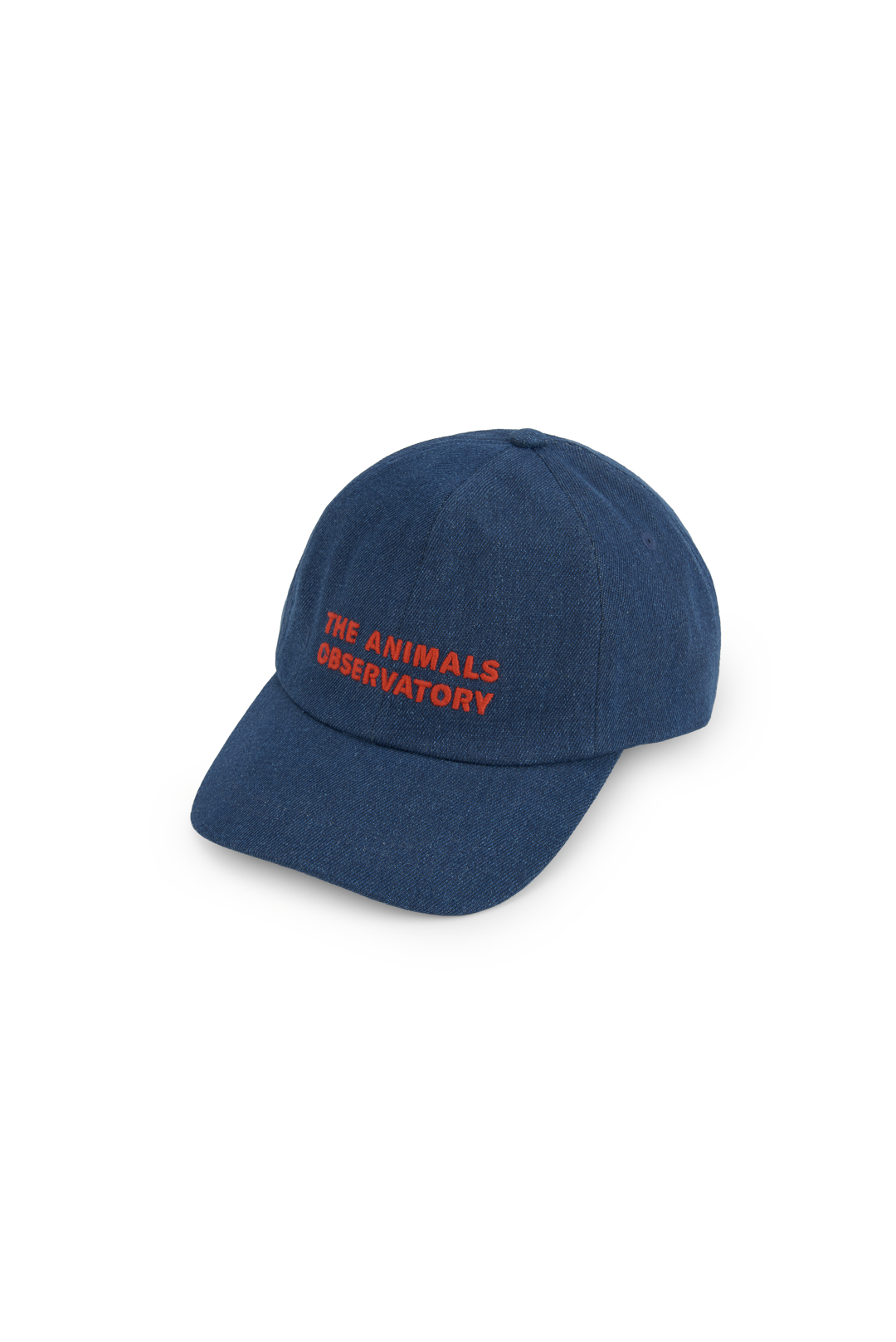 Blue Paddlefish Cap COVER