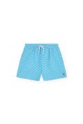 Striped Blue Gavial  Shorts