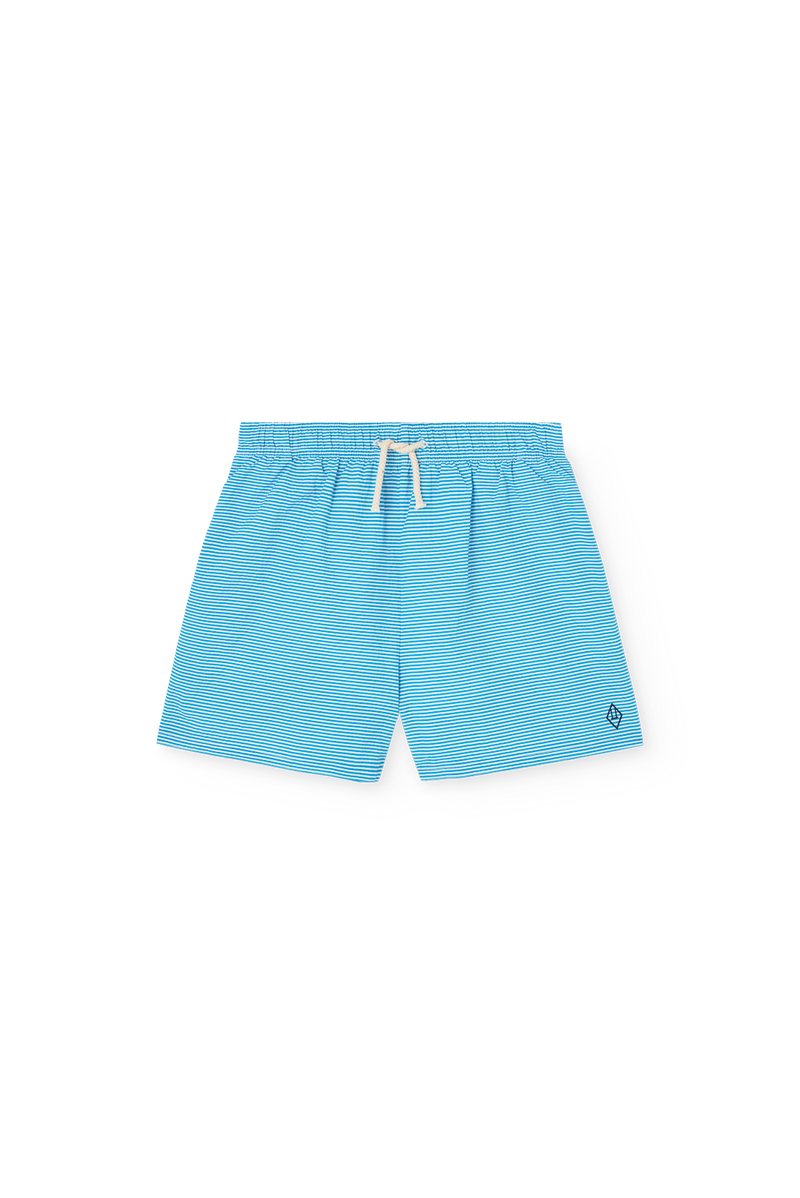 Striped Blue Gavial  Shorts COVER