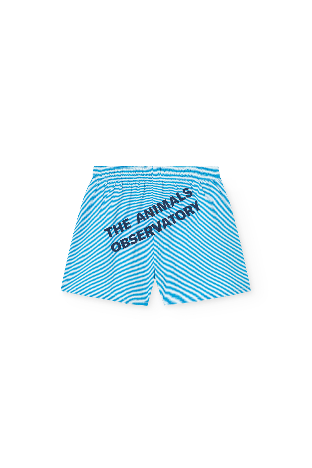 Striped Blue Gavial  Shorts PRODUCT BACK