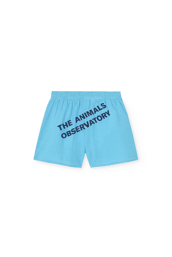 Striped Blue Gavial  Shorts PRODUCT BACK