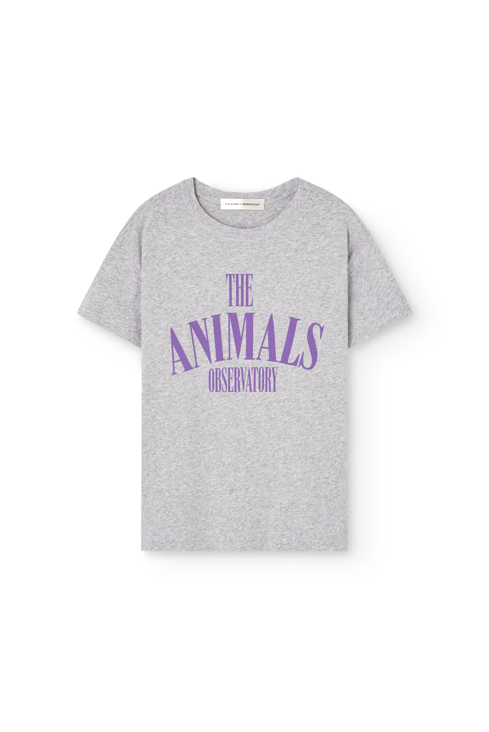 Grey Pupfish T-shirt | The Animals Observatory