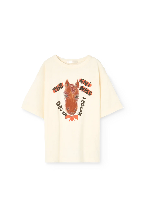 COLLIE FRONT