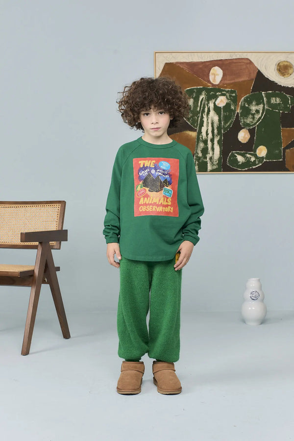 Dark Green Anteater Long Sleeve T-shirt MODEL FRONT