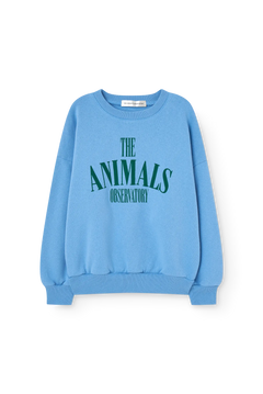 Dusty Blue Killifish Sweatshirt
