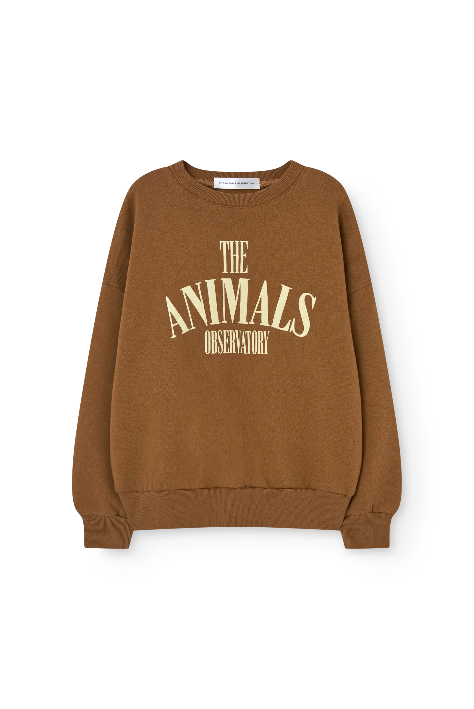 Brown Killifish Sweatshirt | The Animals Observatory