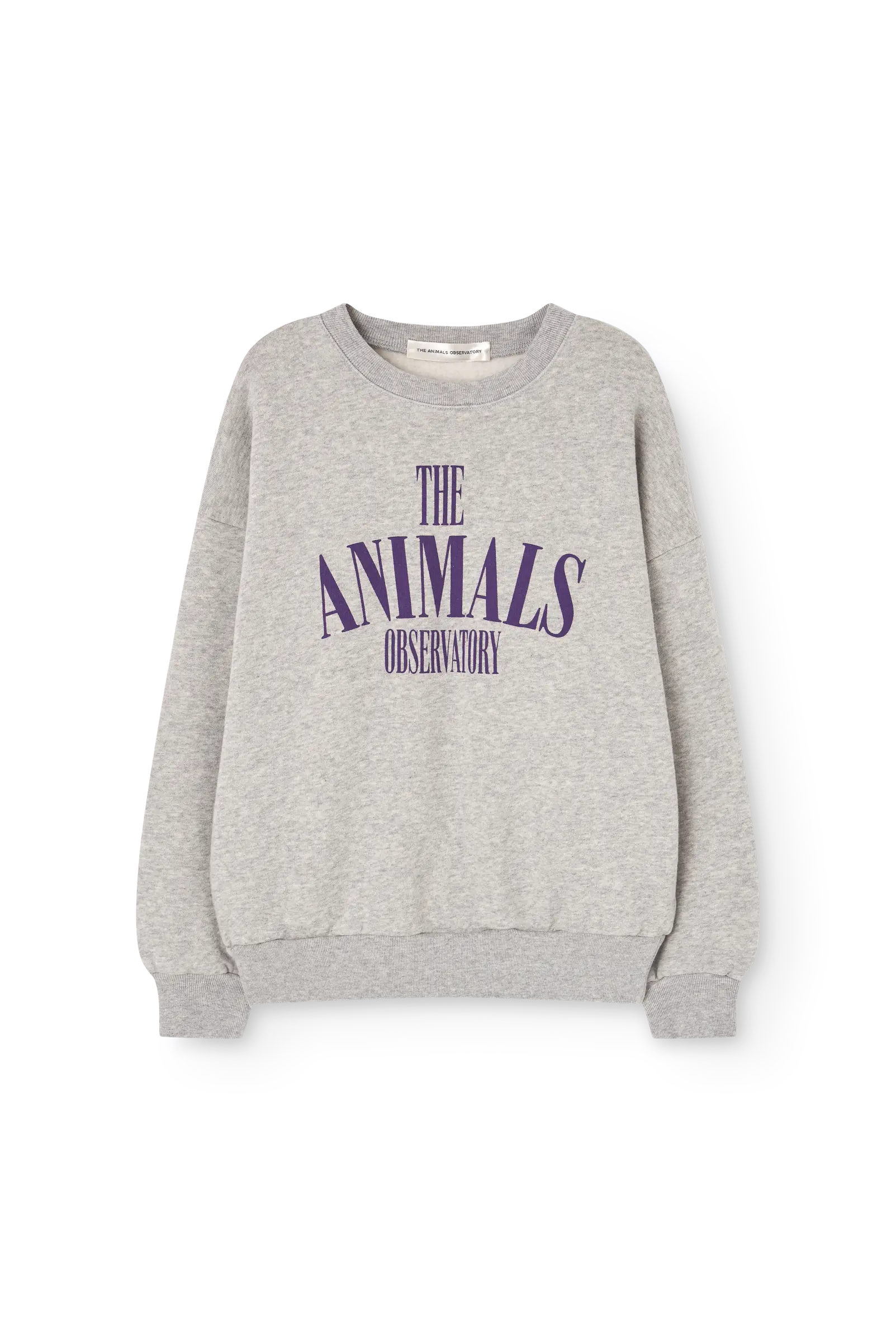 Grey Killifish Sweatshirt | The Animals Observatory