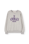Grey Killifish Sweatshirt