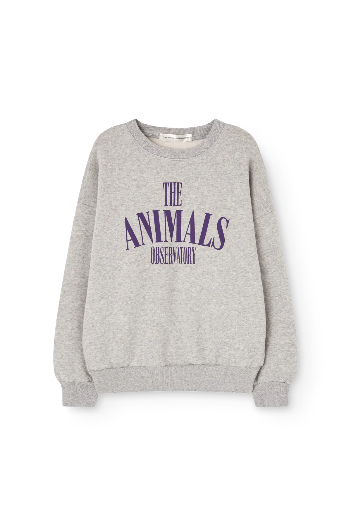 Grey Killifish Sweatshirt | The Animals Observatory