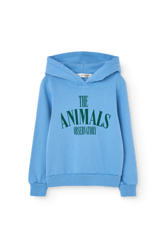 Dusty Blue Angelfish Hoodie