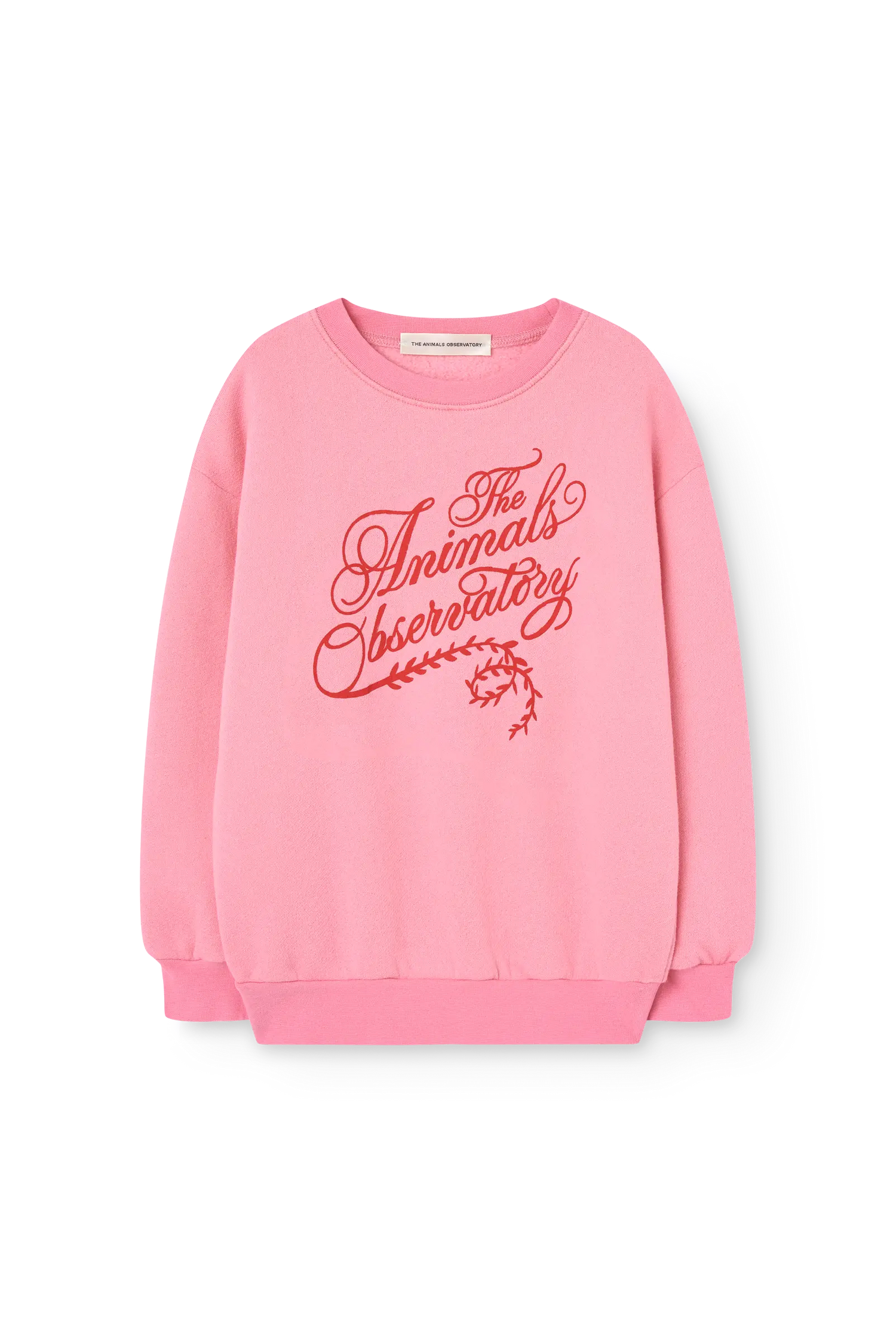 Pink Bear Sweatshirt | The Animals Observatory