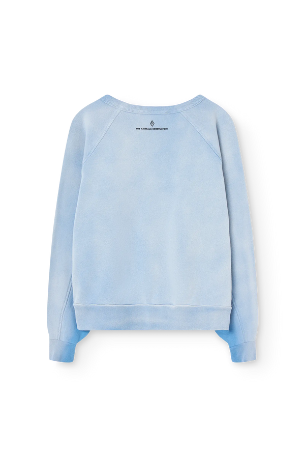 Dusty Blue Shark Warm Sweatshirt BACK