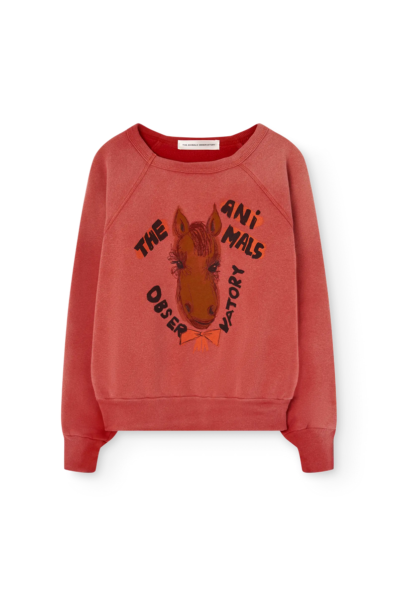Red Shark Warm Sweatshirt COVER