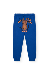 DROMEDARY BACK