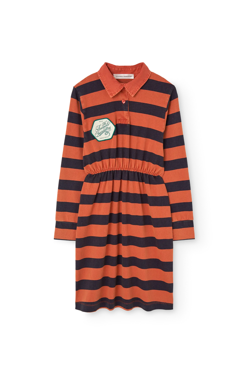 Striped Pigeon Dress COVER