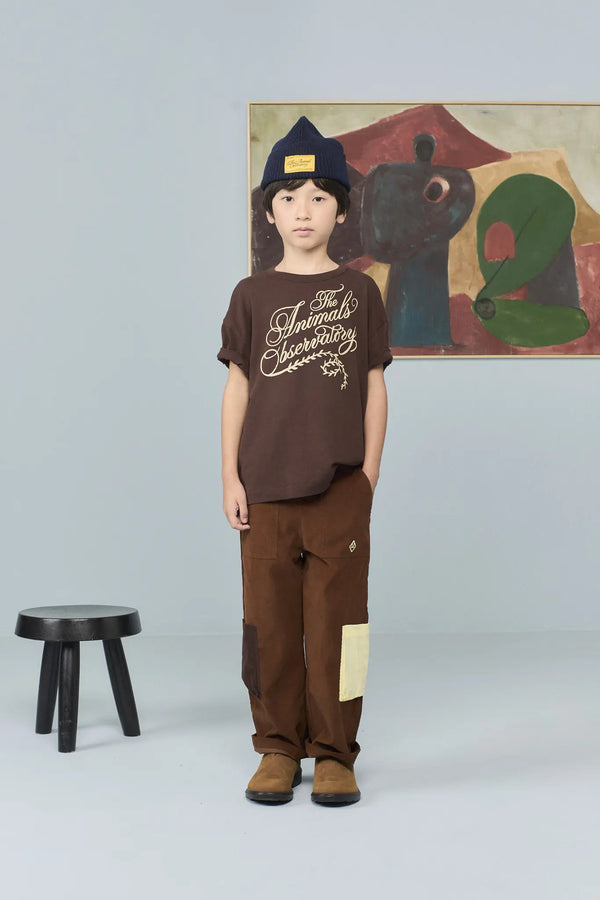 Brown Chimp Cargo Pants MODEL FRONT