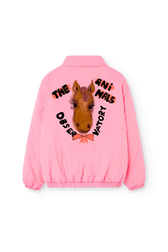 CROCODILE BACK