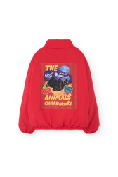CROCODILE BACK