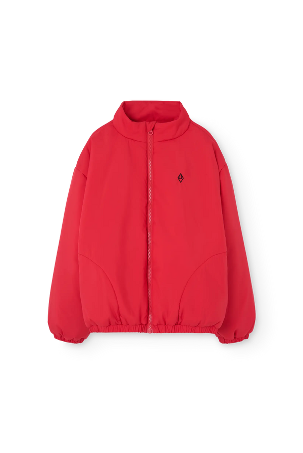 CROCODILE FRONT