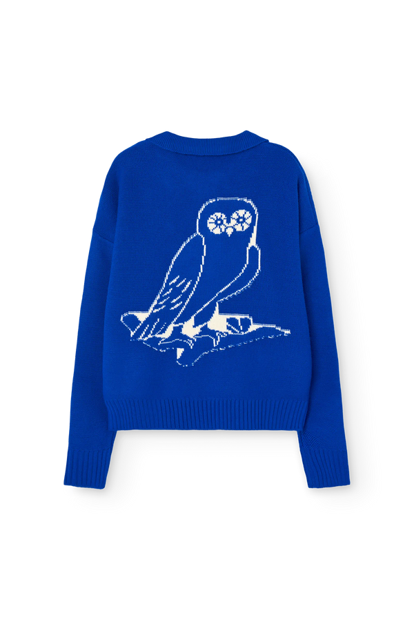 RAVEN BACK
