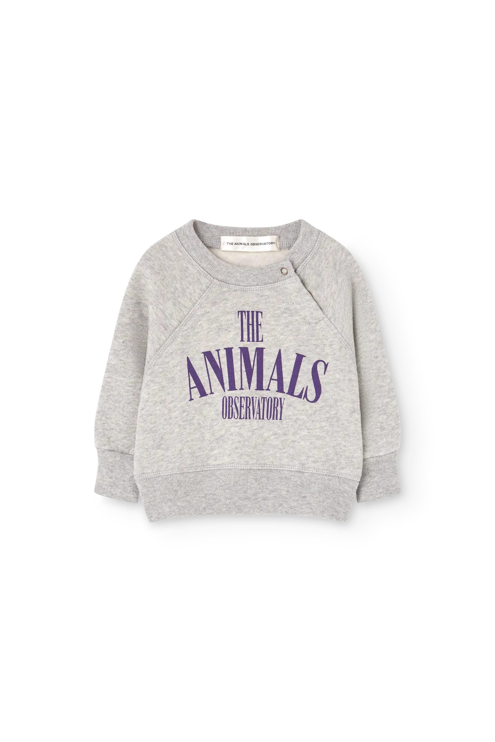 Grey Jackal Sweatshirt for baby COVER
