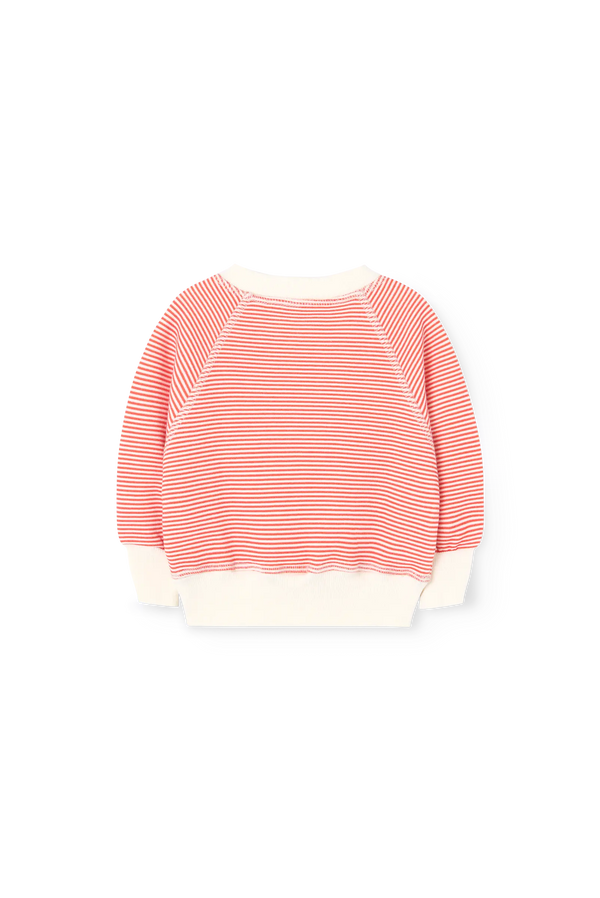 Striped Jackal Sweatshirt for baby BACK