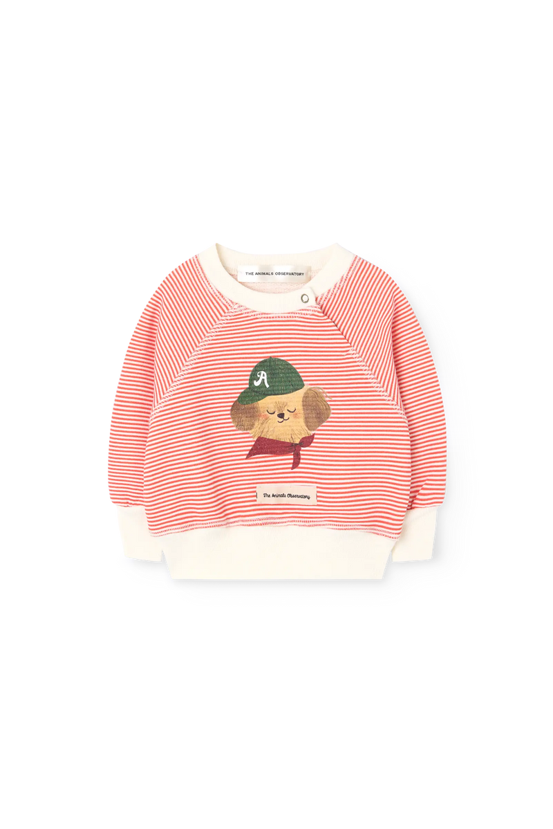 Striped Jackal Sweatshirt for baby COVER