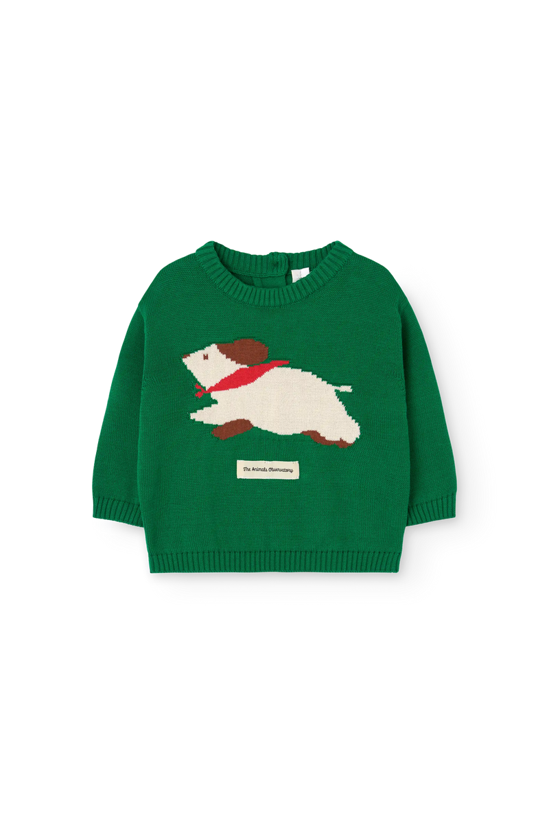 Dark Green Bobcat Sweater for baby COVER