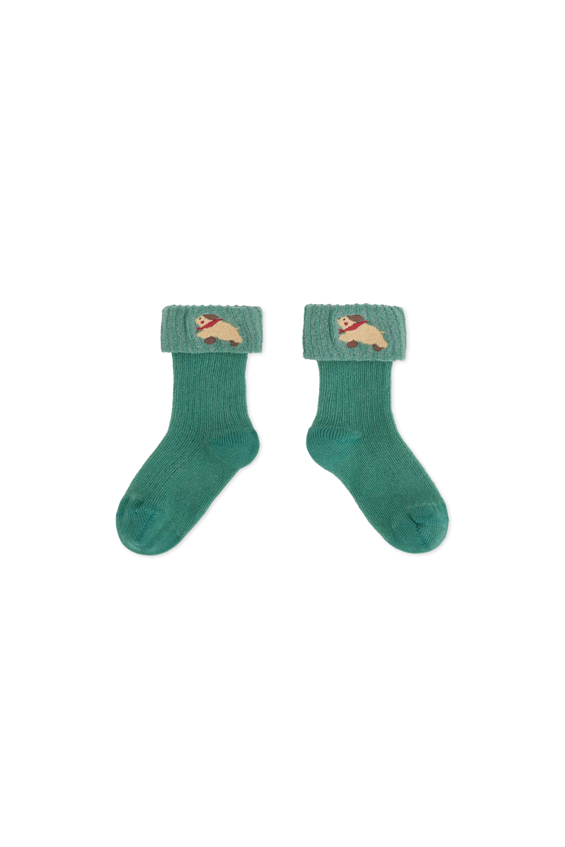 Turqoise Avocet Socks for baby COVER