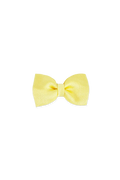 Lazo para pelo Coati Amarillo