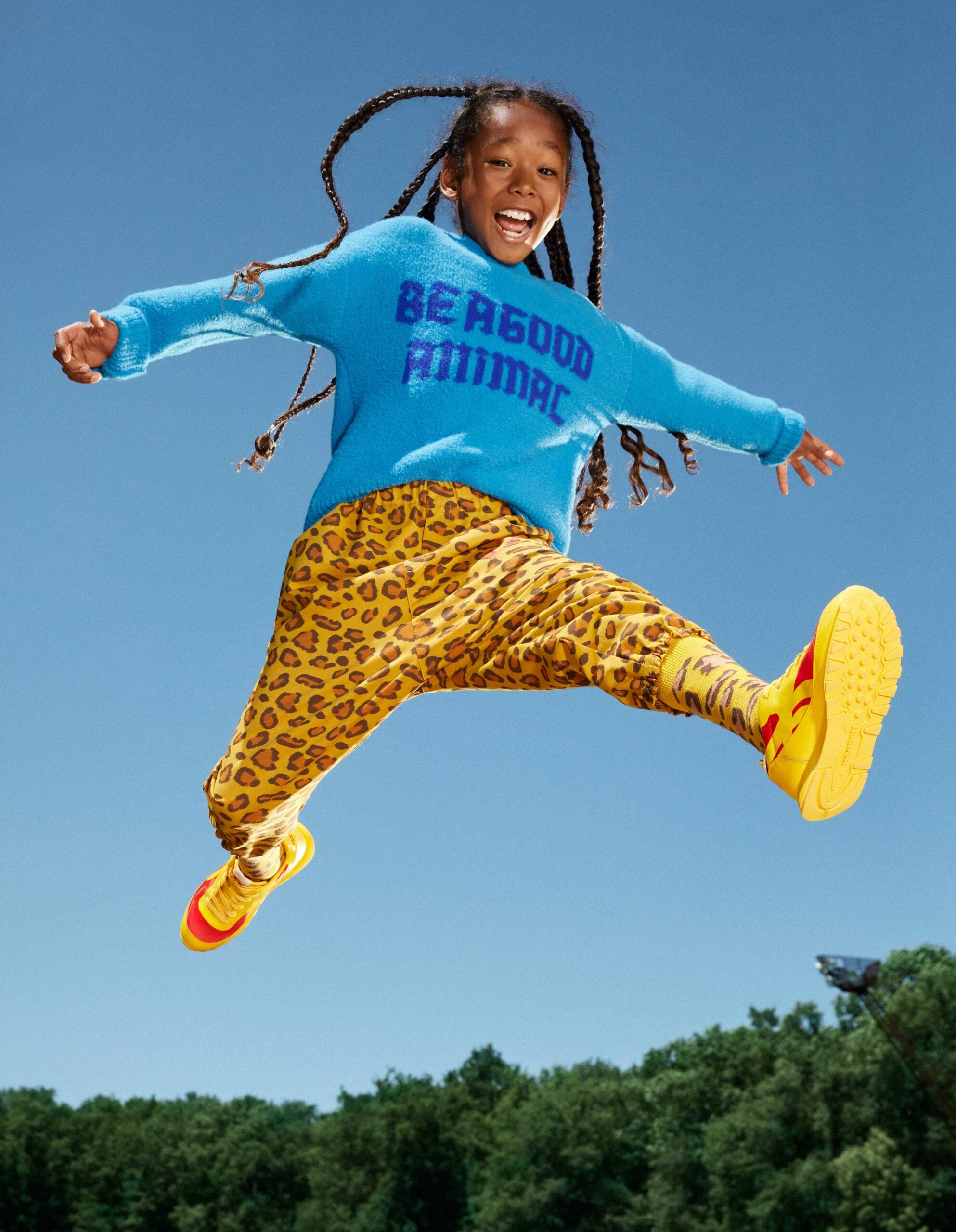 Basket reebok the animal observatory Clearance