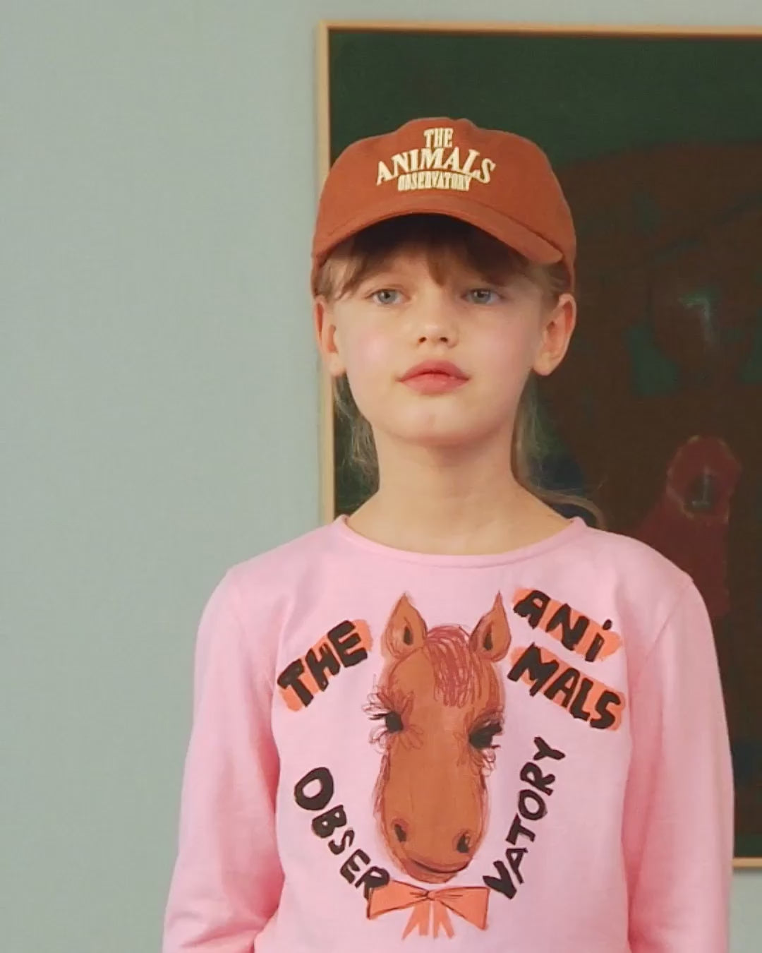 Hats | The Animals Observatory