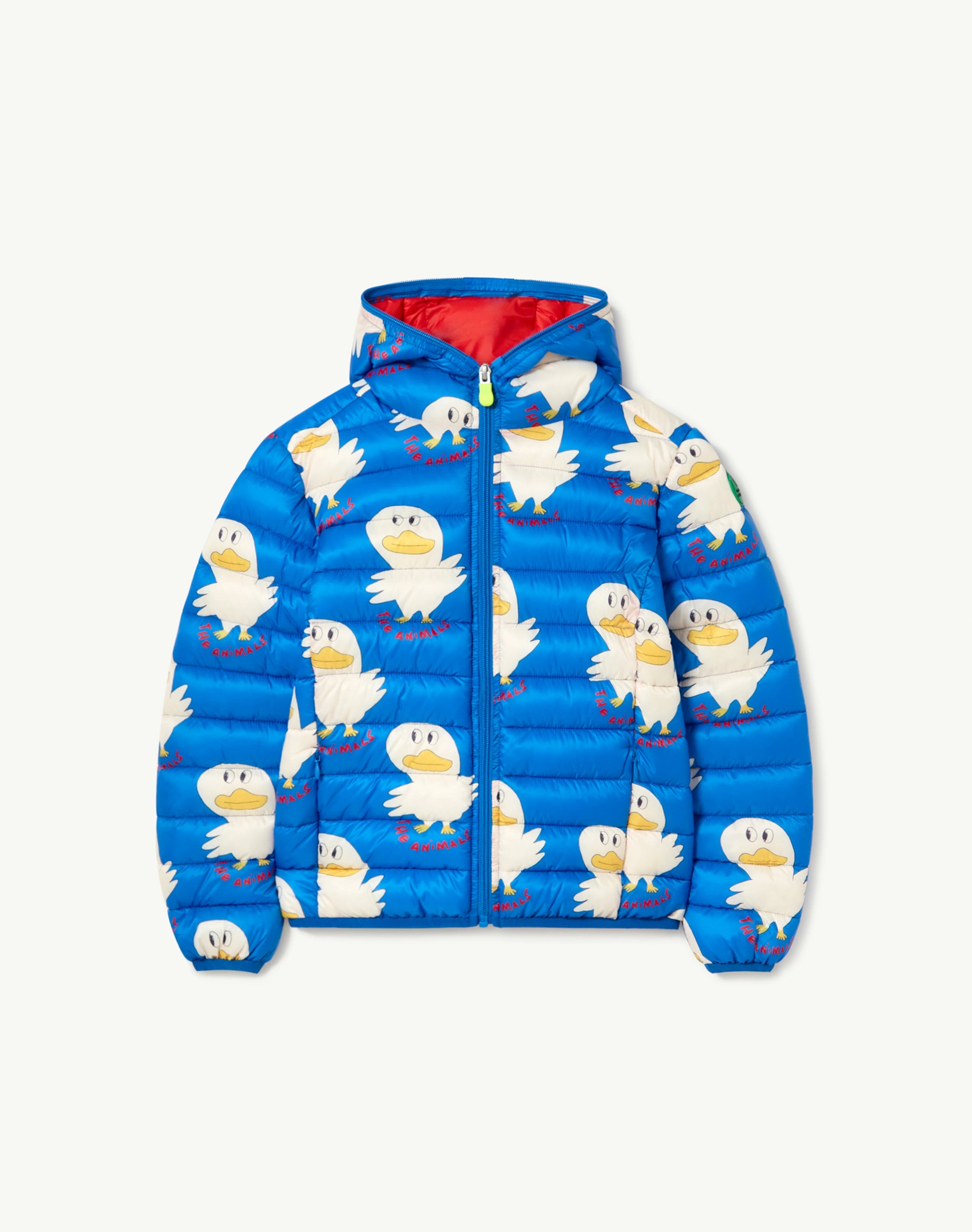 Save the Duck: check our new collab! | The Animals Observatory Save the Duck: check our new collab! | The Animals Observatory
